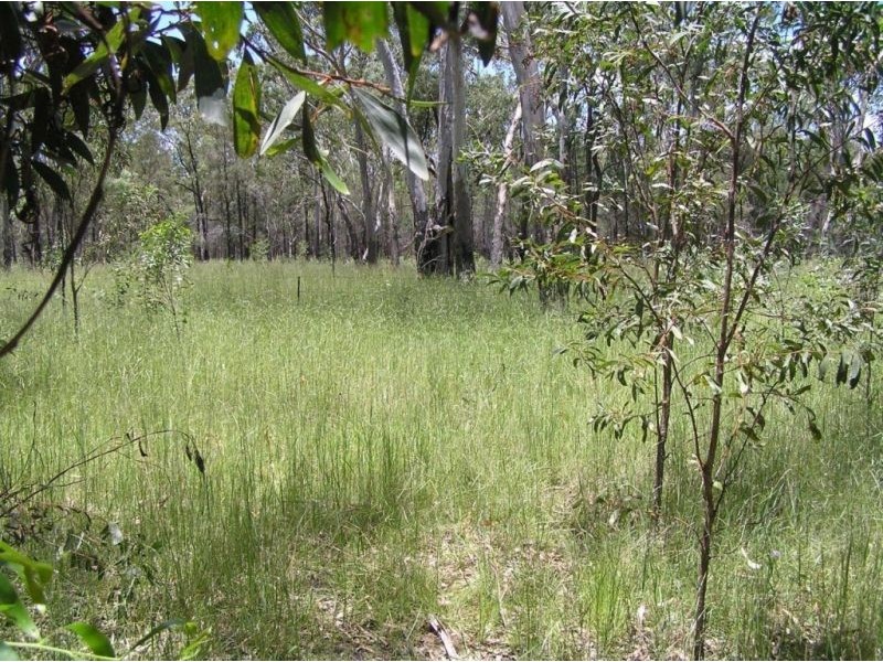 Lot 16 Durah Road, Chinchilla QLD 4413
