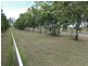126 Windmill Road, Chinchilla QLD 4413