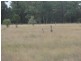 Lot 140 Kofoeds Road, Tara QLD 4421