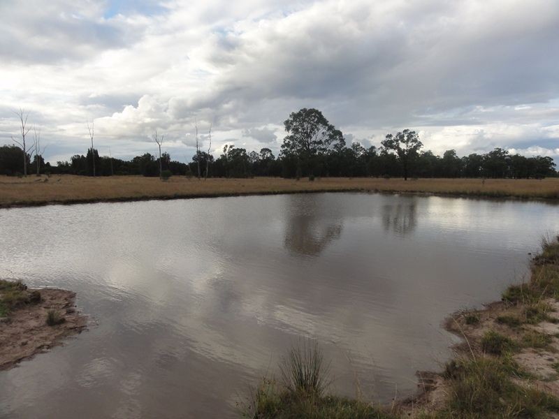Lot 140 Kofoeds Road, Tara QLD 4421
