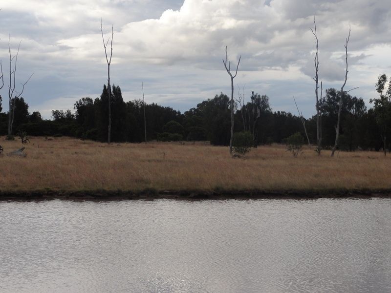 Lot 140 Kofoeds Road, Tara QLD 4421