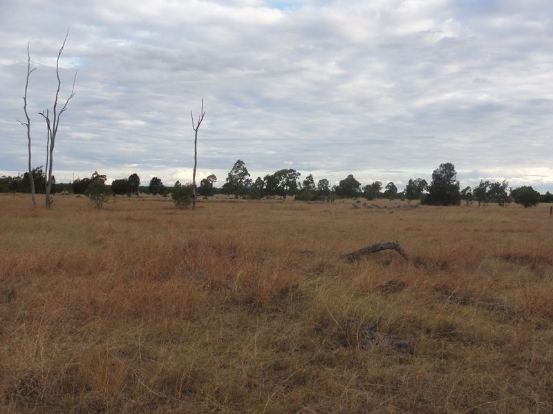 Lot 140 Kofoeds Road, Tara QLD 4421