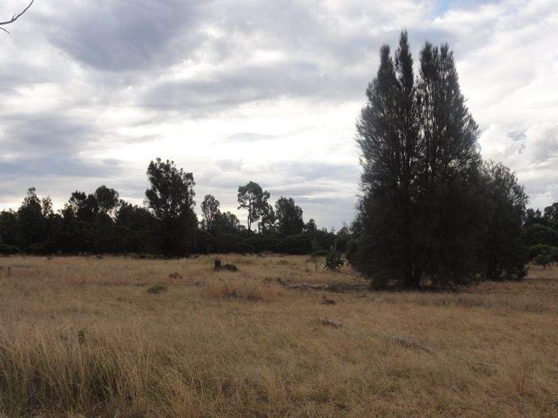 Lot 140 Kofoeds Road, Tara QLD 4421