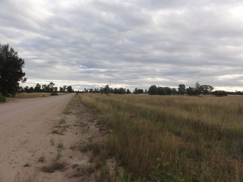 Lot 140 Kofoeds Road, Tara QLD 4421