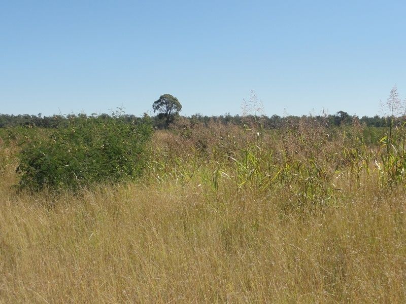 Lot 65 Warrego Highway, Chinchilla QLD 4413