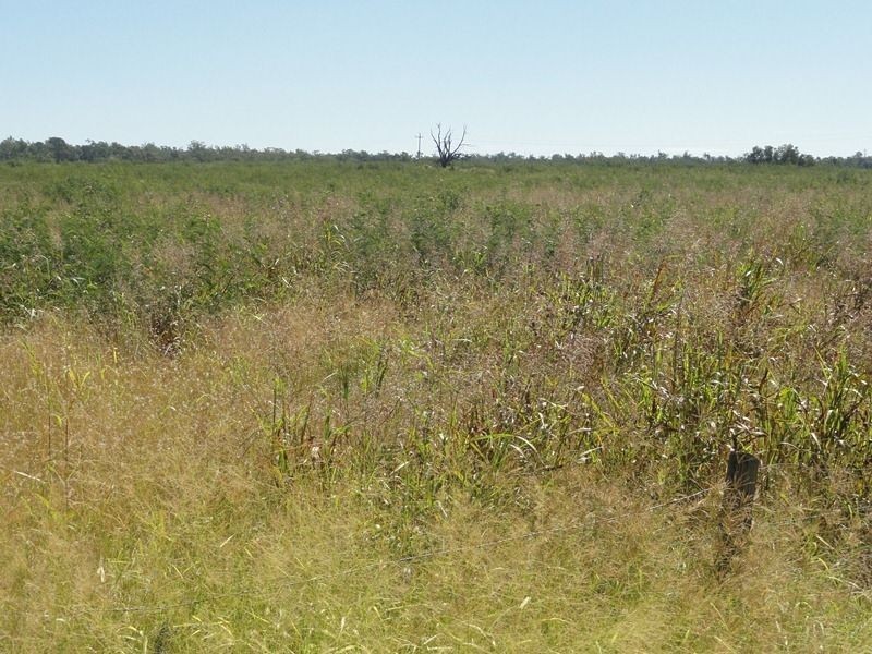 Lot 65 Warrego Highway, Chinchilla QLD 4413