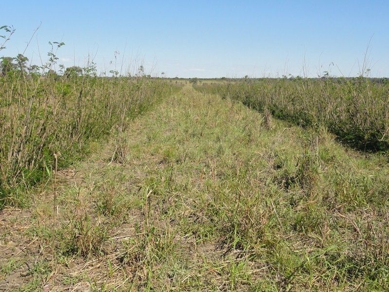 Lot 65 Warrego Highway, Chinchilla QLD 4413