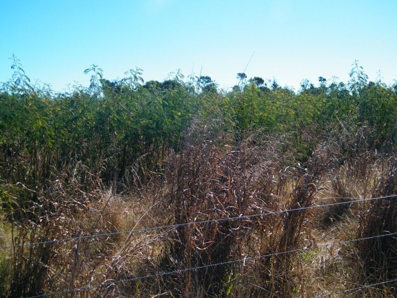 Lot 65 Warrego Highway, Chinchilla QLD 4413