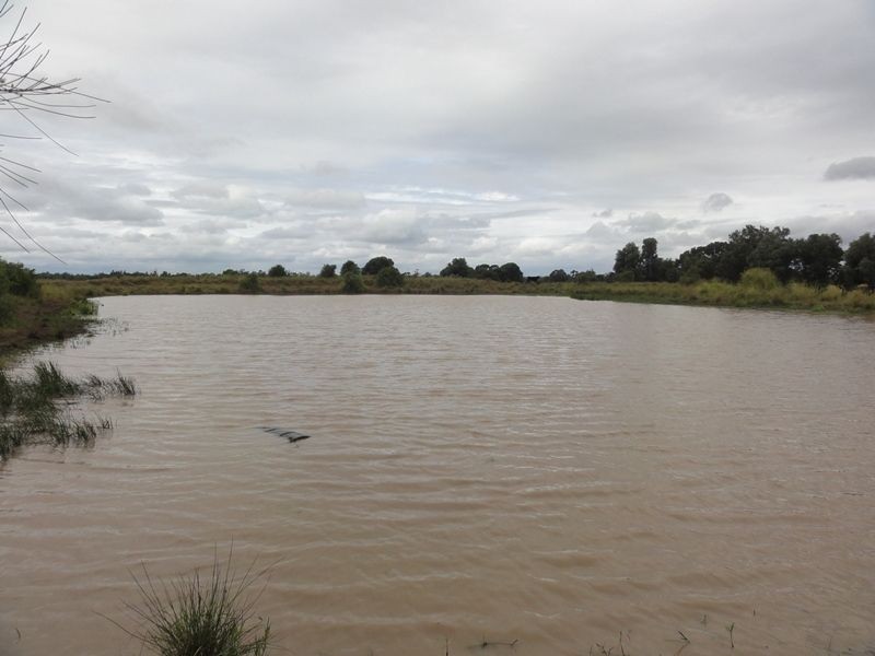 Lot 75 Clarkes Road, Chinchilla QLD 4413