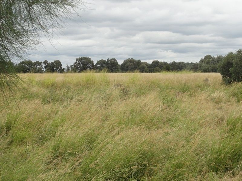 Lot 75 Clarkes Road, Chinchilla QLD 4413