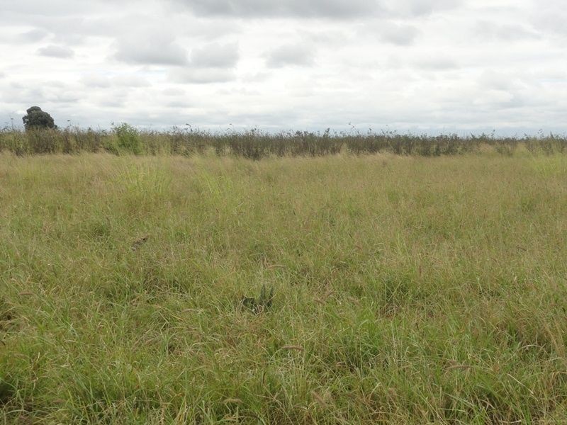 Lot 75 Clarkes Road, Chinchilla QLD 4413