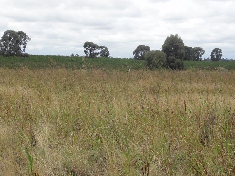 Lot 75 Clarkes Road, Chinchilla QLD 4413