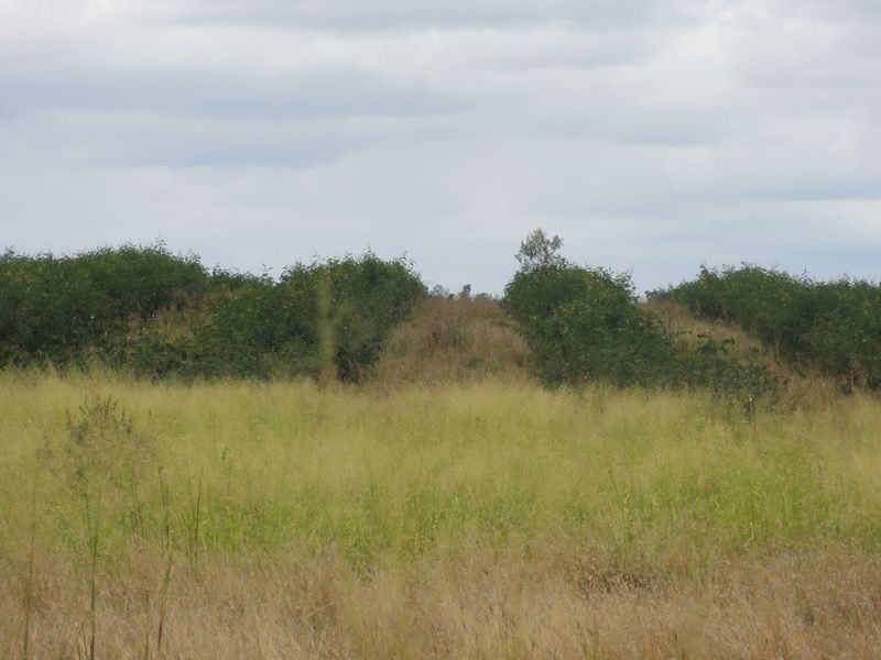 Lot 75 Clarkes Road, Chinchilla QLD 4413