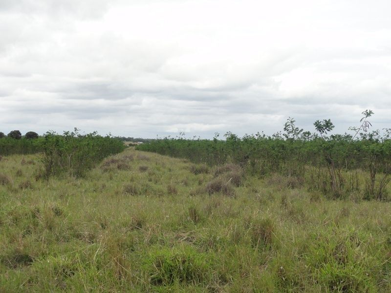 Lot 75 Clarkes Road, Chinchilla QLD 4413