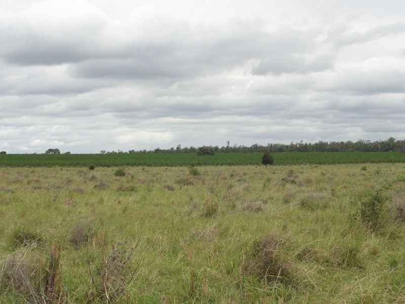 Lot 75 Clarkes Road, Chinchilla QLD 4413