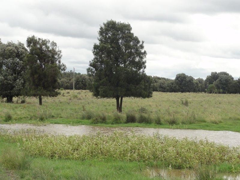 Lot 75 Clarkes Road, Chinchilla QLD 4413