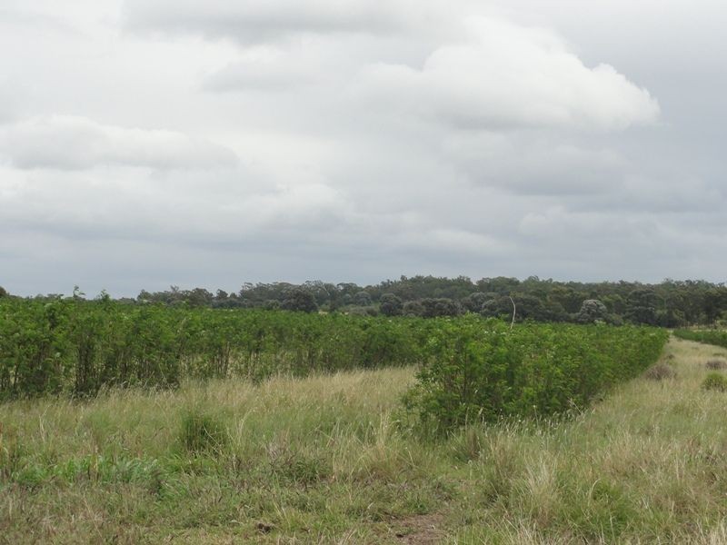 Lot 75 Clarkes Road, Chinchilla QLD 4413