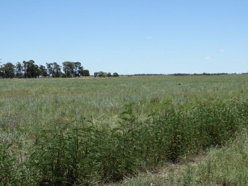 1080 ACRES 1958 – Kogan Condamine Highway, Chinchilla QLD 4413