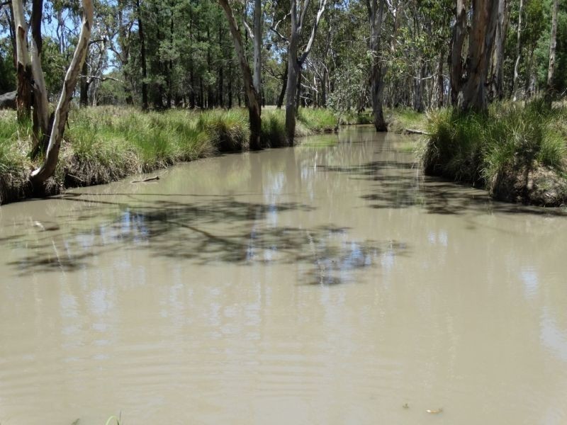 1080 ACRES 1958 – Kogan Condamine Highway, Chinchilla QLD 4413