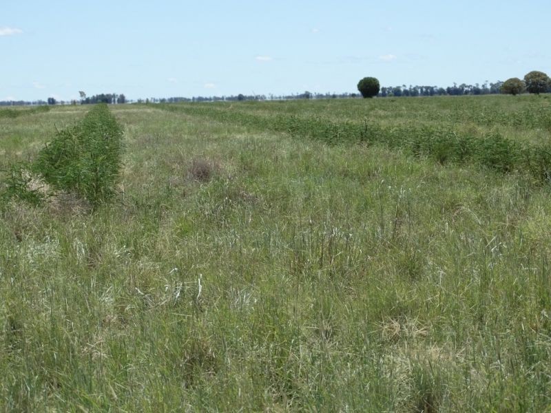 1080 ACRES 1958 – Kogan Condamine Highway, Chinchilla QLD 4413