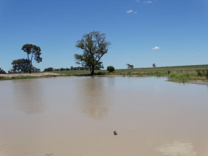 1080 ACRES 1958 – Kogan Condamine Highway, Chinchilla QLD 4413