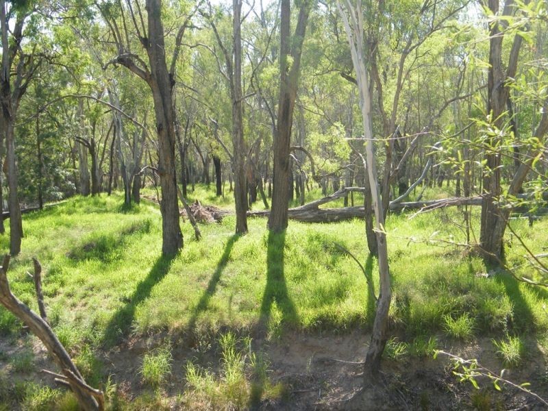 Lots 1 and 2 Wondai Road, Chinchilla QLD 4413