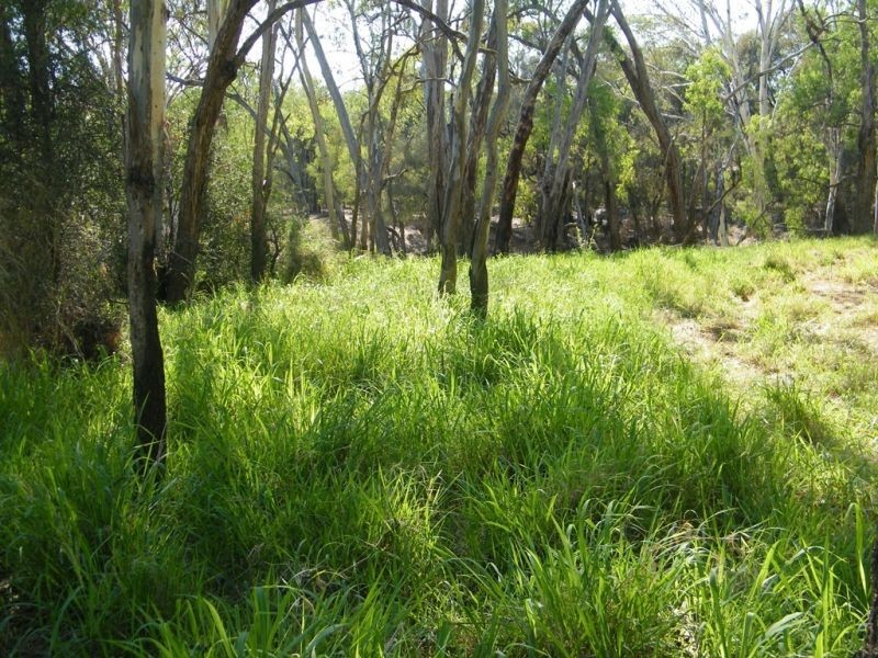 Lots 1 and 2 Wondai Road, Chinchilla QLD 4413