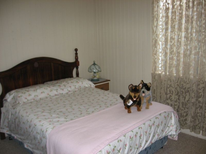 185 Gormley Road, Chinchilla QLD 4413