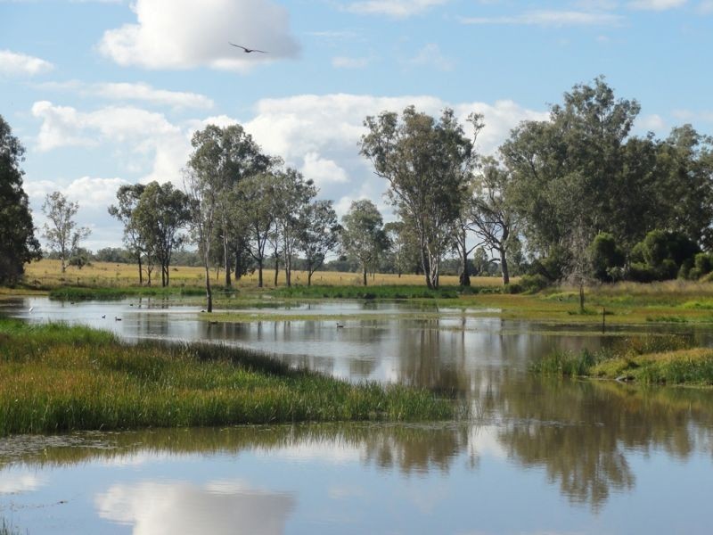 446 Holmes Road, Chinchilla QLD 4413