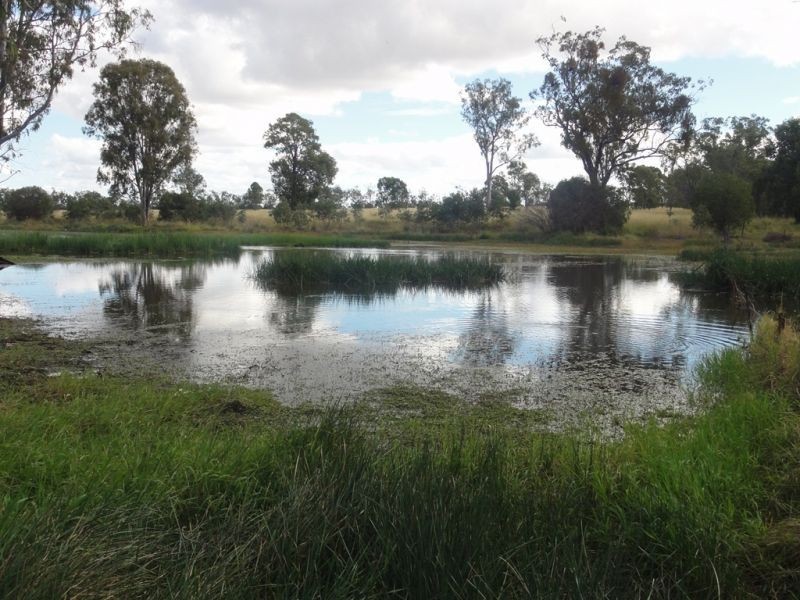 446 Holmes Road, Chinchilla QLD 4413