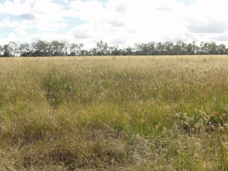 446 Holmes Road, Chinchilla QLD 4413