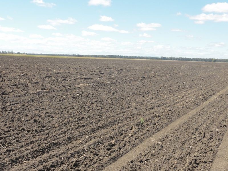 202 Tuckerang Road, Warra QLD 4411