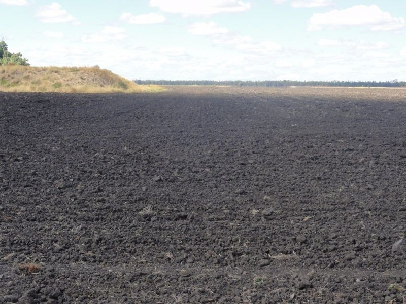 202 Tuckerang Road, Warra QLD 4411