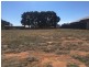 10 Lots Frame  Sheridan St, Chinchilla QLD 4413