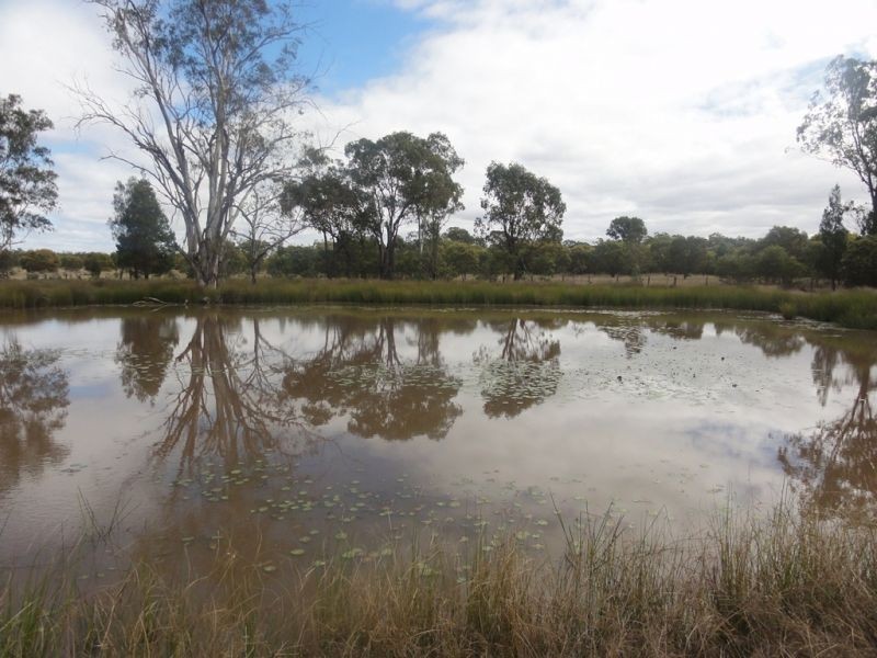 277 Surcingle Road, Chinchilla QLD 4413