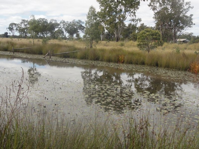 277 Surcingle Road, Chinchilla QLD 4413