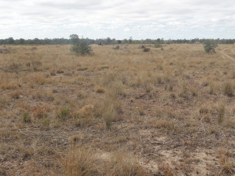 277 Surcingle Road, Chinchilla QLD 4413