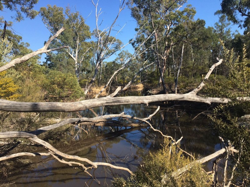 Lot 3 Lot 3 Boort – Koi Rd, Chinchilla QLD 4413