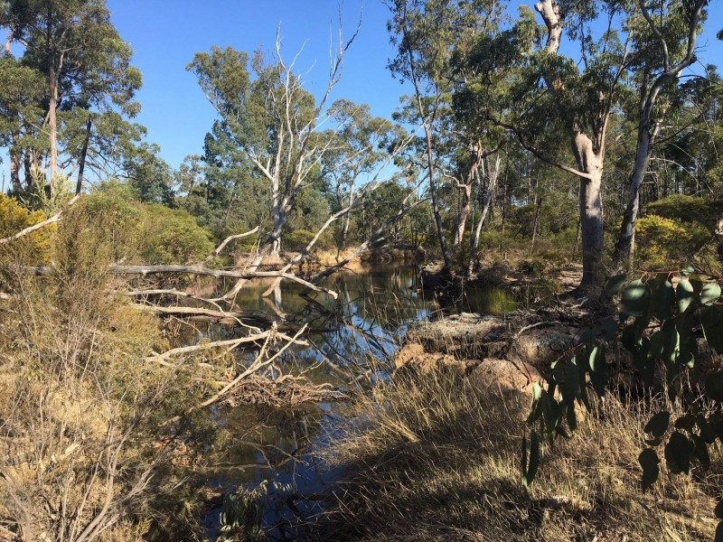 Lot 3 Lot 3 Boort – Koi Rd, Chinchilla QLD 4413