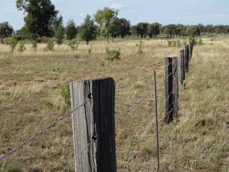 640 ACRES – Butlers Road, Drillham South QLD 4424