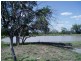 640 ACRES – Butlers Road, Drillham South QLD 4424