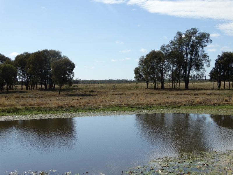 640 ACRES – Butlers Road, Drillham South QLD 4424