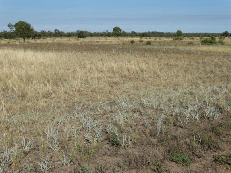 640 ACRES – Butlers Road, Drillham South QLD 4424