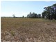 640 ACRES – Butlers Road, Drillham South QLD 4424
