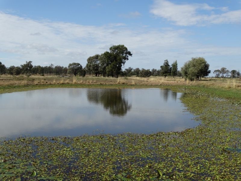 640 ACRES – Butlers Road, Drillham South QLD 4424