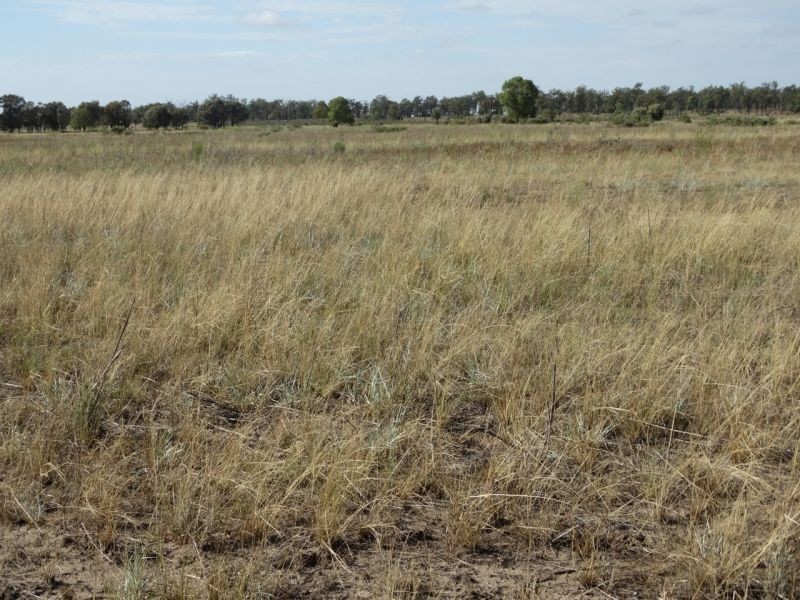 640 ACRES – Butlers Road, Drillham South QLD 4424