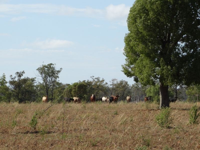 640 ACRES – Butlers Road, Drillham South QLD 4424