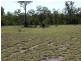 640 ACRES – Butlers Road, Drillham South QLD 4424