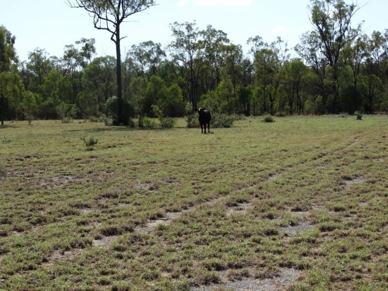 640 ACRES – Butlers Road, Drillham South QLD 4424