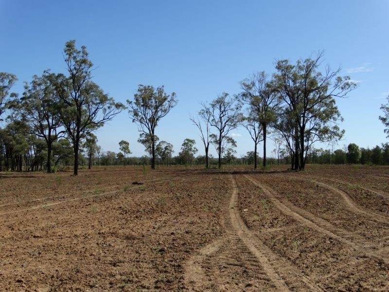 640 ACRES – Butlers Road, Drillham South QLD 4424